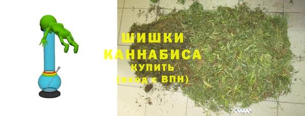 спайс Ладушкин