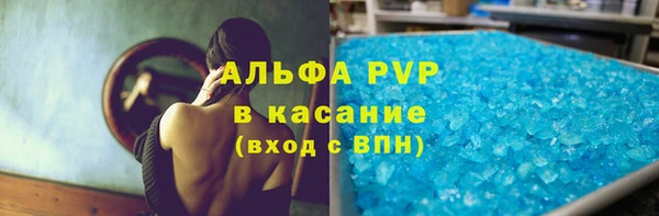 спайс Ладушкин