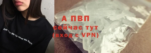 амф Россошь