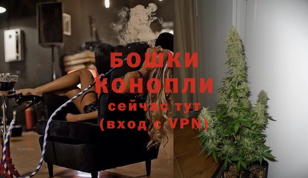 спайс Ладушкин