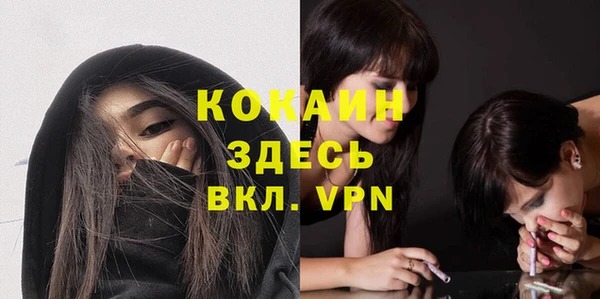 спайс Ладушкин